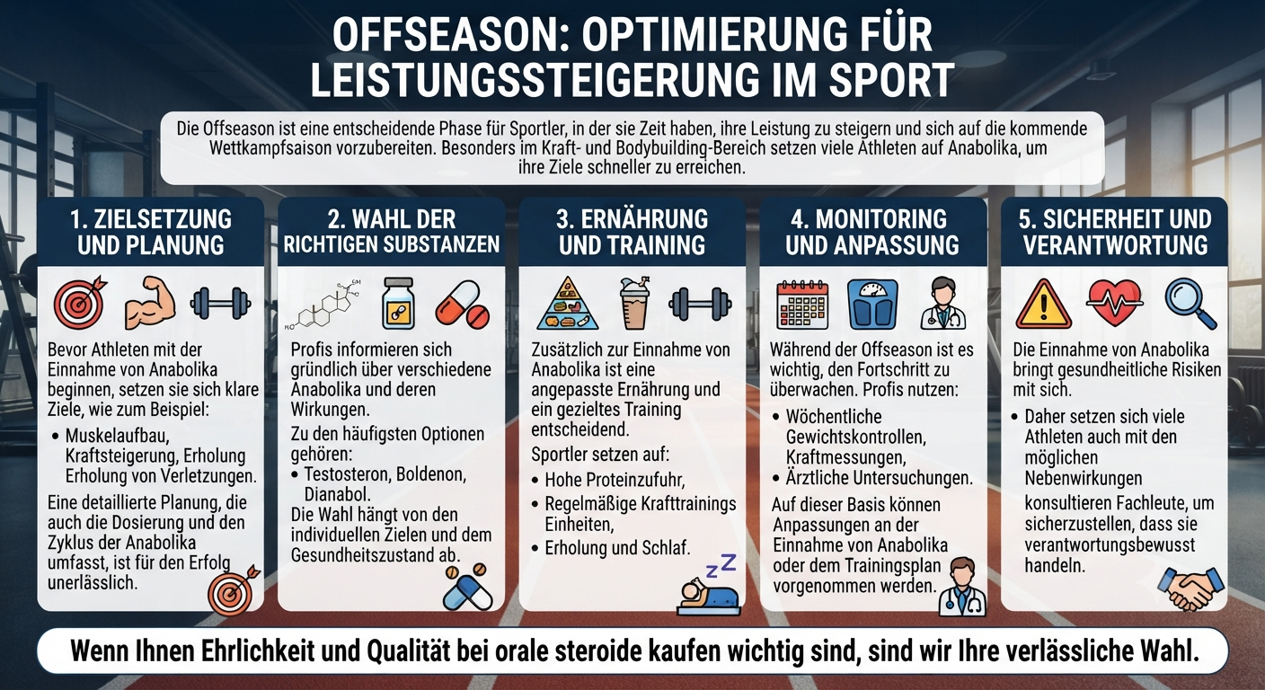 So planen Profis ihre Offseason mit Anabolika